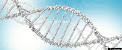 !BiologicalComputer1