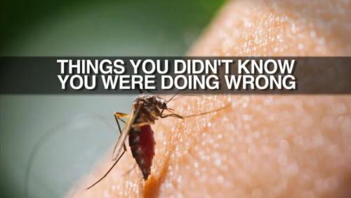 !!!StopScratchingMosquitoBites1