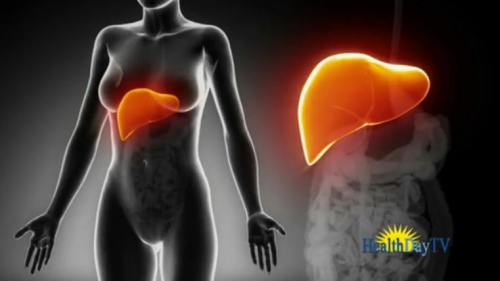 !!!MilkThisleHepatitisC1