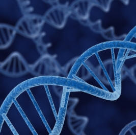 !!!!!8FactsVitaminD1