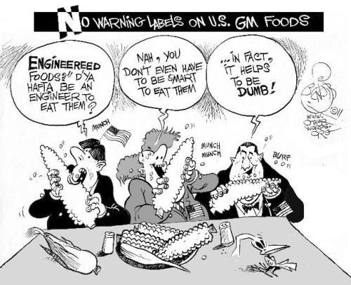 !!!!!GeneticallyModifiedFoods1