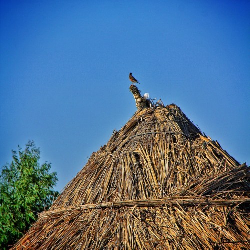 20140417-041455 am.jpg