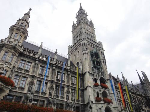 Free Friday 2 Picture