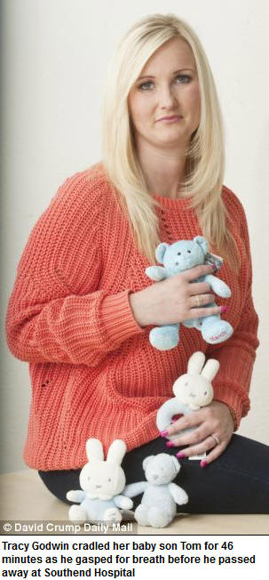 !!!!!Heart-Rending Story1