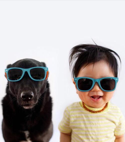!!!!!MatchingDogAndBaby1