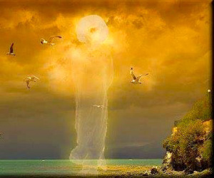 1491725_10151998363190598_4016736356830256637_n