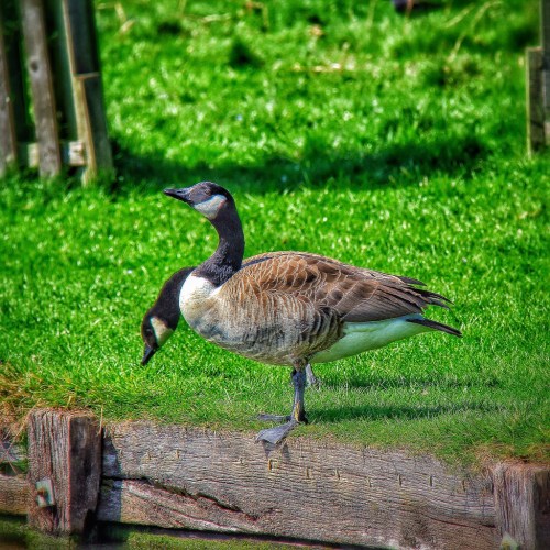 20140528-035807 am-14287860.jpg