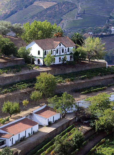 Quinta do Noval - One of the major historic Port houses, renowned for its great Vintage Ports, old Tawnies and since 2006, for its Douro wines 