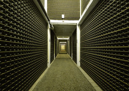 Respected as a producer of wood aged ports, Taylor’s holds one of the largest reserves of rare cask aged wines 