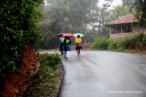 Water, Water Everywhere!