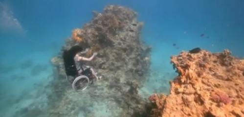 !!!!!WheelChairDiving!