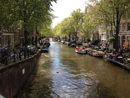 The beauty of the glistening canals of Amsterdam is only heightened by the accompanying greenery