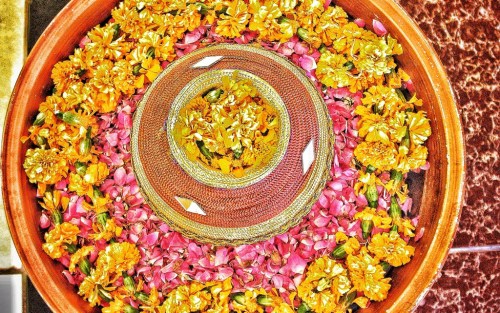 20140221-074807 pm.jpg