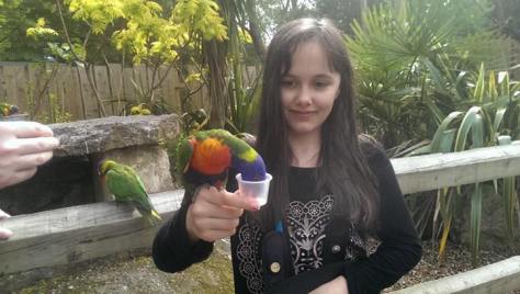 10313985_10203181576036769_8115408867579200078_n