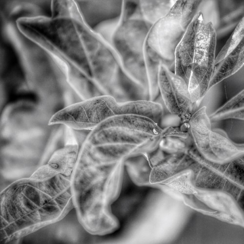 20140313-091215 pm.jpg