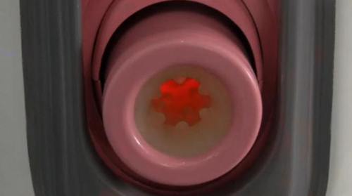 !!!!!SpermExtractor1