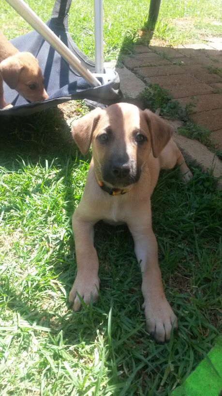 Mia - when we went to see her in her foster home