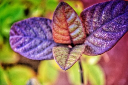 20140124-042531 pm.jpg