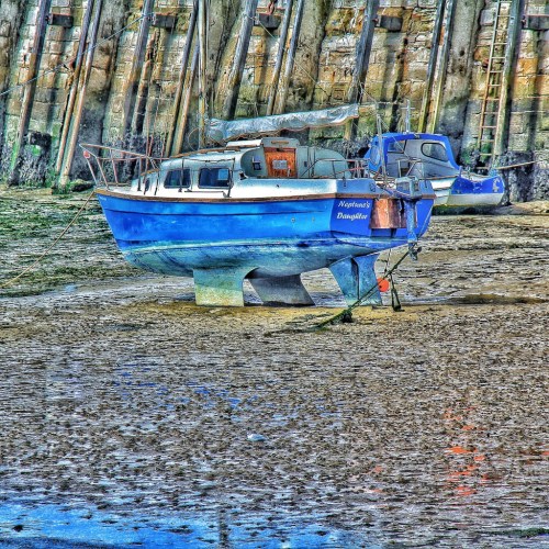 20140129-105742 am.jpg