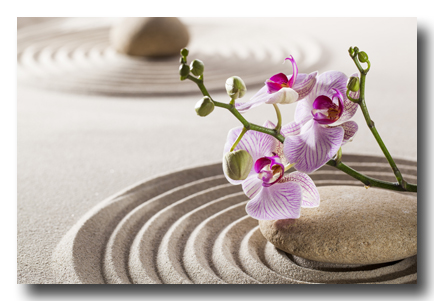 Zen400swprodshutterstock_168559829 copy