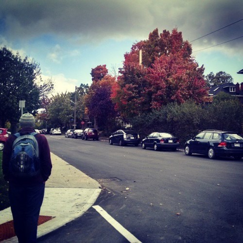 1554628_10152885445499974_6668001406271901404_n