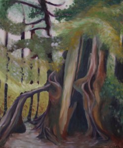Painting: Giant sequoias at the Sequoia National Park - California USA.