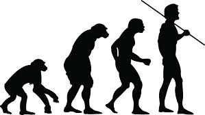Darwin's evolution picture