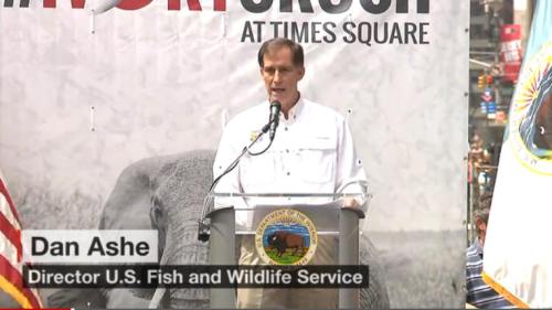 !!!!!BN2015-6-20CrushedIvory1