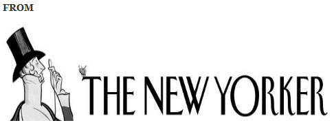 ~~~~TheNewYorker1