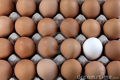 !!!!!TheWhiteMinority1