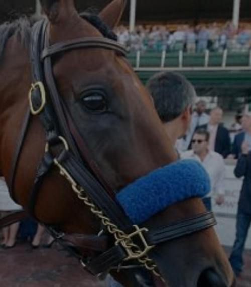 !!!!!AmericanPharaoh1