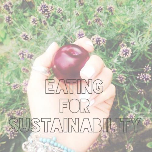 eating-for-sustainability-food-jessica-nicole-griffiths-jessicaswanderlust-jessicas-wanderlust-organic-biodynamic-weight-loss
