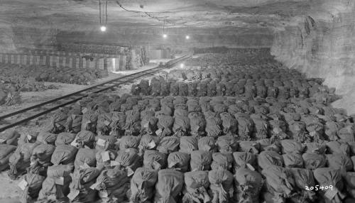 !!!!!NaziiArtThefts1