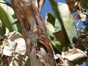 11995570_1002731046414607_471501964_n