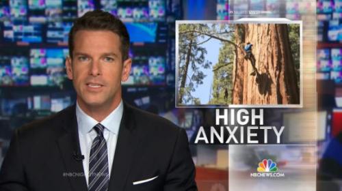 !!!!!BiologistClimbMasswiveSequoias1