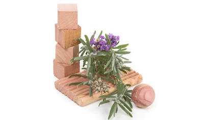 !!!!!Herbal insectRepellents1