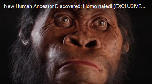 !!!!!NewSpeciesOfHumans1