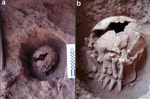 !!!!!9000-Year-OldSkull1