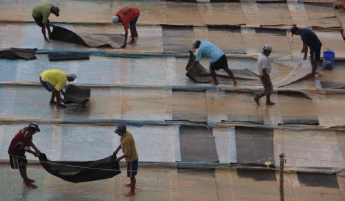 !!!!!MecuryPollution1