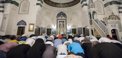 !!!!!Severed Pigs' Heads in Mosques1