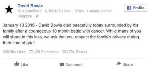 !!!!!DavidBowie2