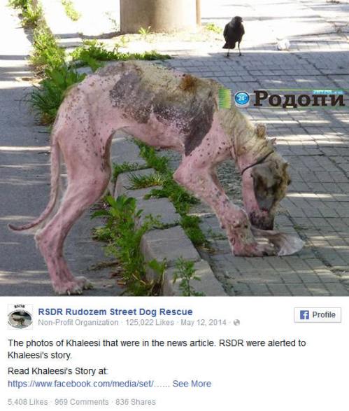 !!!!!Khaleesi'sStory1