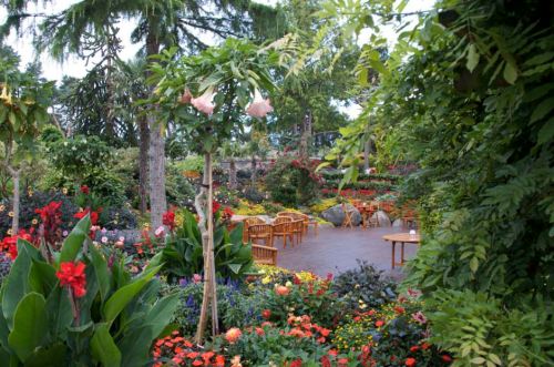 A wonderful place to site