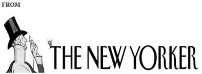 ~~~~TheNewYorker1
