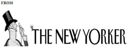 ~~~~TheNewYorker1