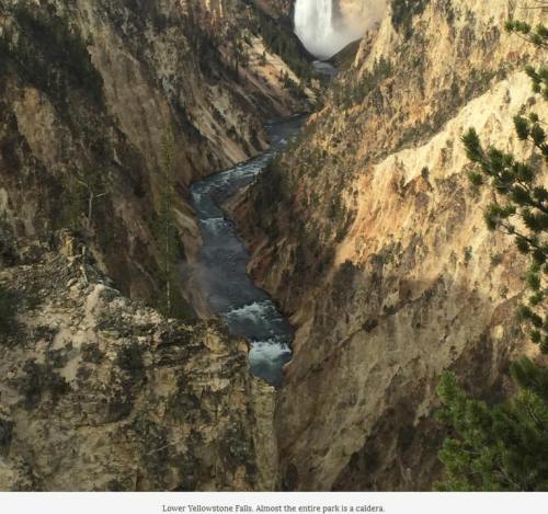 forjamesyellowstonepark1