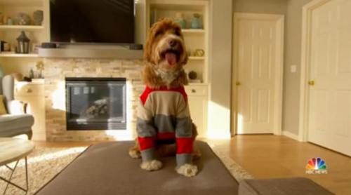 forjamesoregonfosterchild1