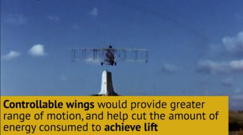 forjamesautonomouswings1