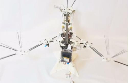 forjamesrobotdronebat1