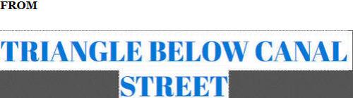 thetrianglebelowcanalstreet1